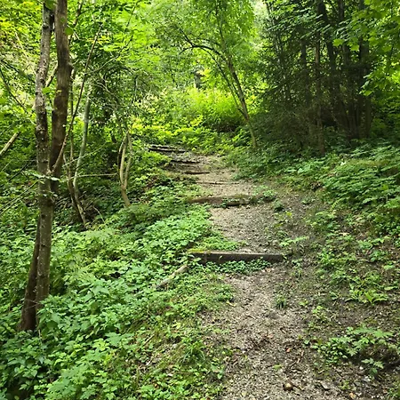 Chalet Lisicja Bajta *