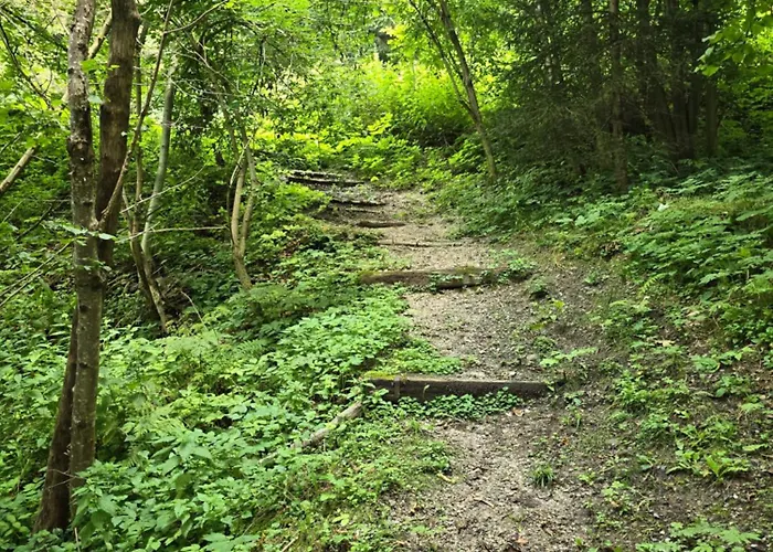 Chalet Lisicja Bajta *